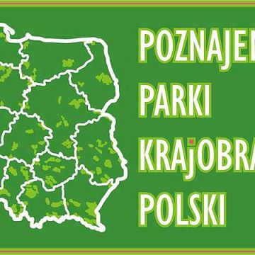 Poznajemy Parki Krajobrazowe Polski - wyniki etapu szkolnego grafika