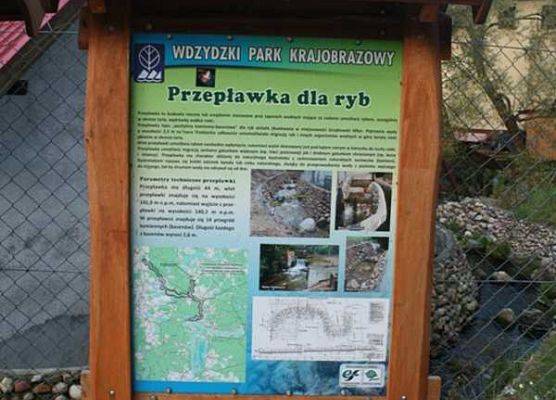Inwentaryzacja gniazd tarłowych troci jeziorowej na obszarze Wdzydzkiego Parku Krajobrazowego grafika