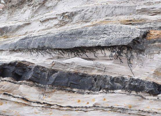 Czarna warstwa osadu powstała ze szczątków organicznych organizmów żyjących miliony lat temu .(fot. Patrycja Boszke)