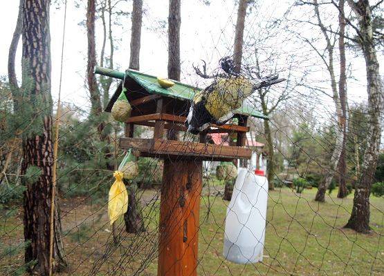 Wyjmowanie ptaków z sieci