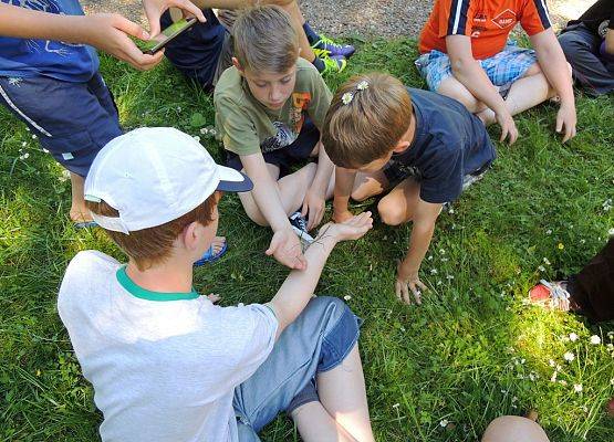 Grafika 5: Obóz ekologiczny w Błękitnej Szkole dla dzieci z Parafii w Dziemianach.