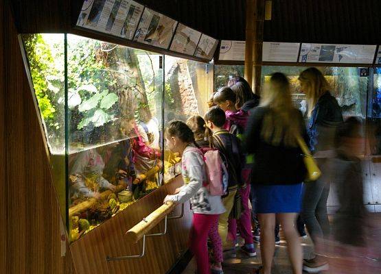 Zwiedzanie Akwarium