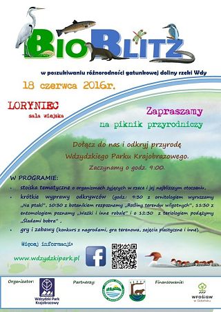 "BioBlitz - w poszukiwaniu różnorodności biologicznej doliny rzeki Wdy" grafika