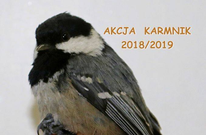 Akcja Karmnik 2018/2019 rozpoczęta grafika