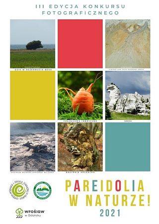 III edycja konkursu "Pareidolia w naturze" grafika