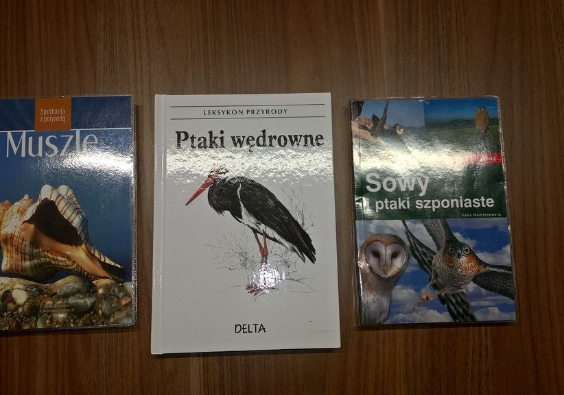 Grafika Zielone Pytanie na czerwiec