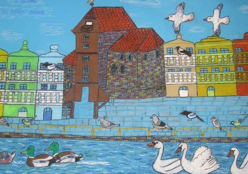 Grafika XIV edycja konkursu plastycznego „Znani i nieznani – ptasi sąsiedzi”