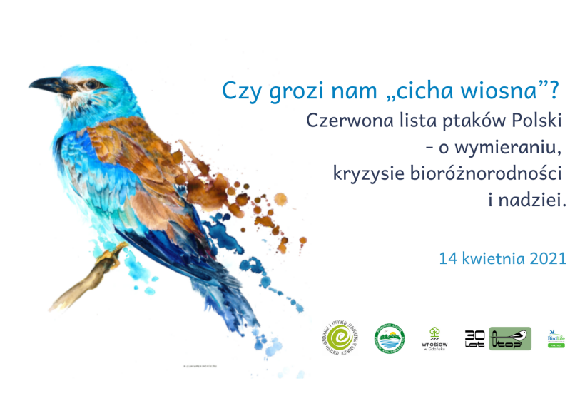 Czy grozi nam „cicha wiosna”? Czerwona lista ptaków Polski - o wymieraniu, kryzysie bioróżnorodności i nadziei. Ogólnopolskie Towarzystwo Ochrony Ptaków, grafika A. Ciszewska