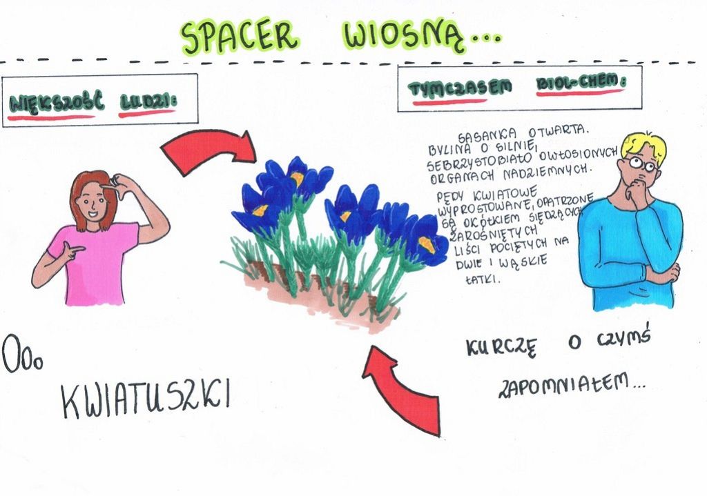 Grafika Wyniki II edycji konkursu Mem przyrodniczy
