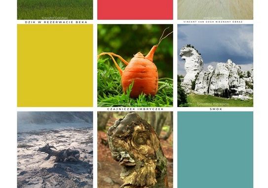 Grafika III edycja konkursu "Pareidolia w naturze"
