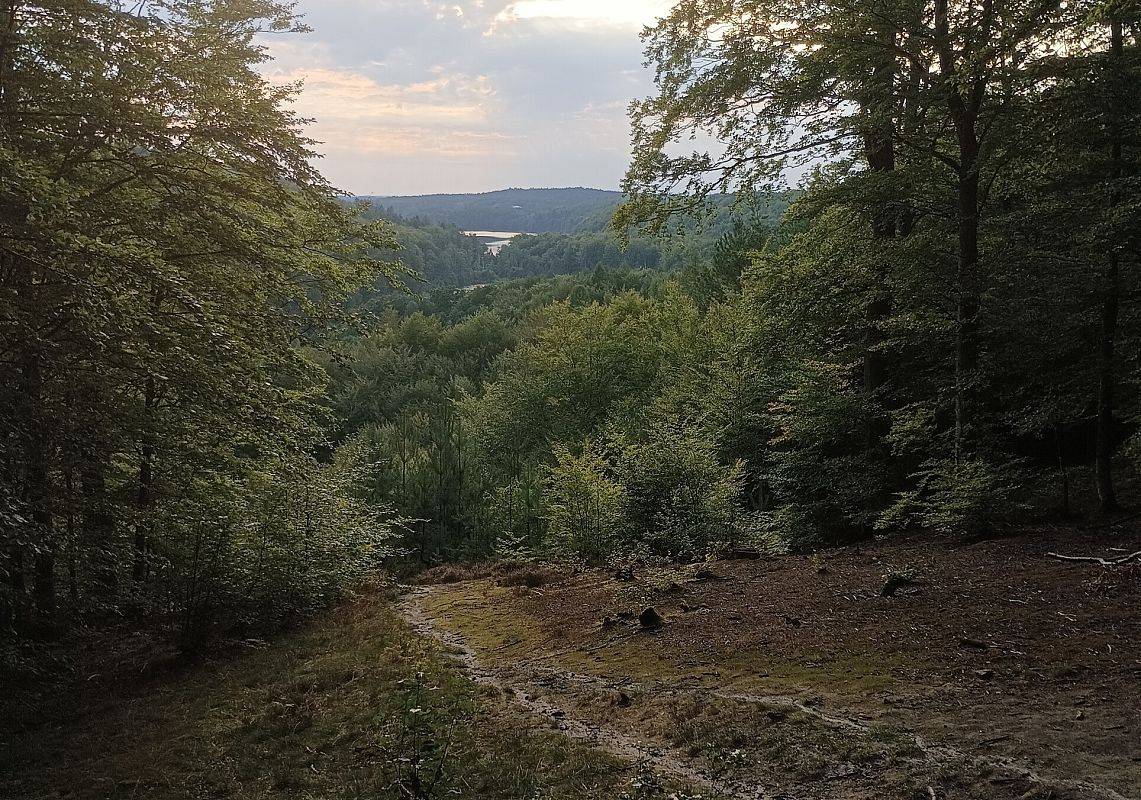 Szlak z rekomendacją National Geografic Grafika Szlak z rekomendacją National Geografic