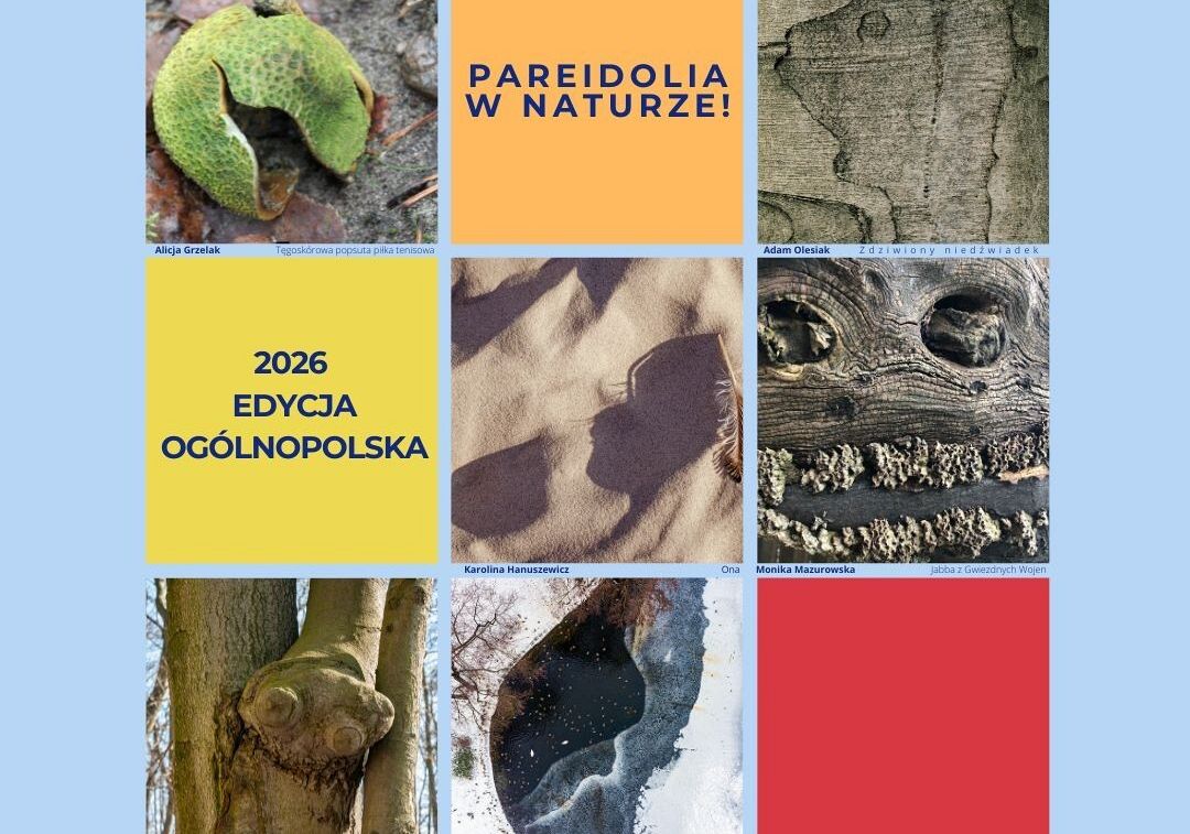 VII edycja konkursu Pareidolia w naturze Grafika VII edycja konkursu Pareidolia w naturze