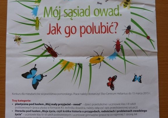 Grafika Konkurs! Mój sąsiad owad. Jak go polubić?