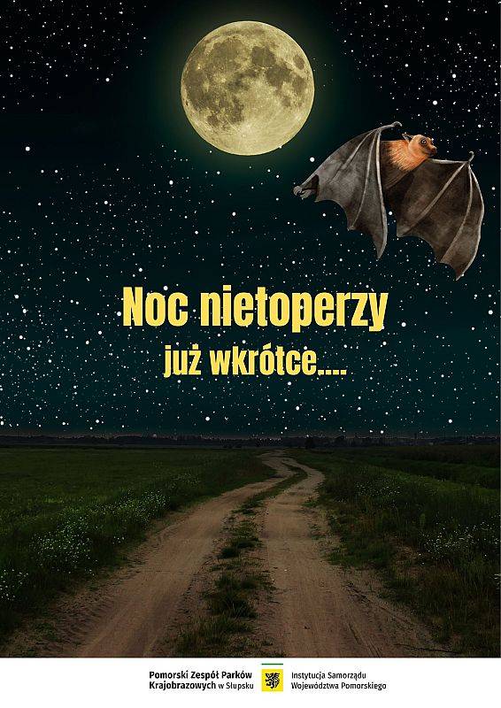 Grafika 1: Międzynarodowa Noc Nietoperzy