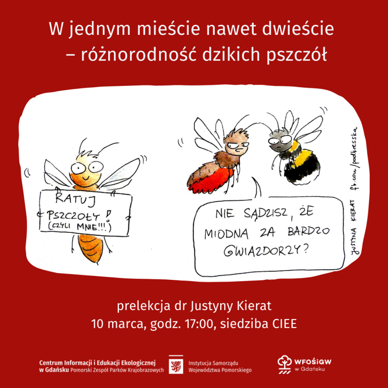 Pszczoła miodna trzyma kartkę z napisem "RATUJ PSZCZOŁY! (czyli mnie!!!)". Po prawej, nieco z tyłu, murarka mówi do trzmiela: "Nie sądzisz, że miodna za bardzo gwiazdorzy?"