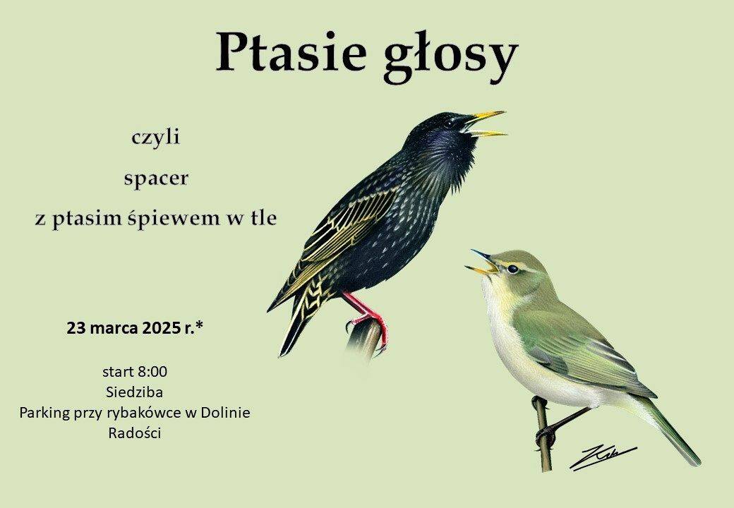 Grafika Ptasie głosy