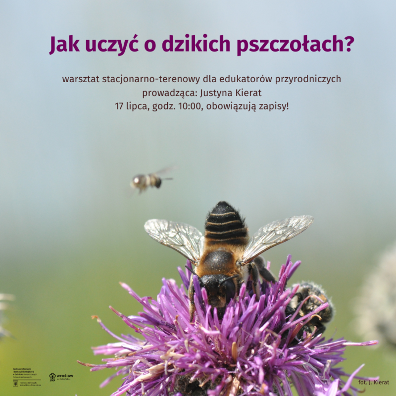 Pszczoła siedząca na fioletowym kwiatku, na górze napisy o warsztacie