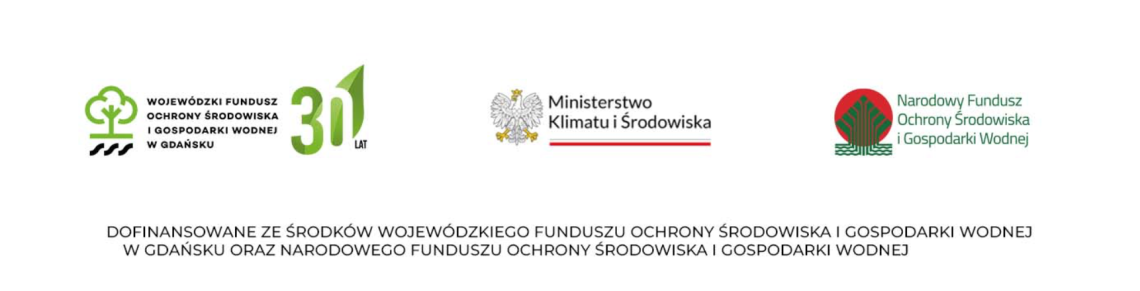 Grafika DOFINANSOWANIE WFOŚiGW i NFOŚiGW