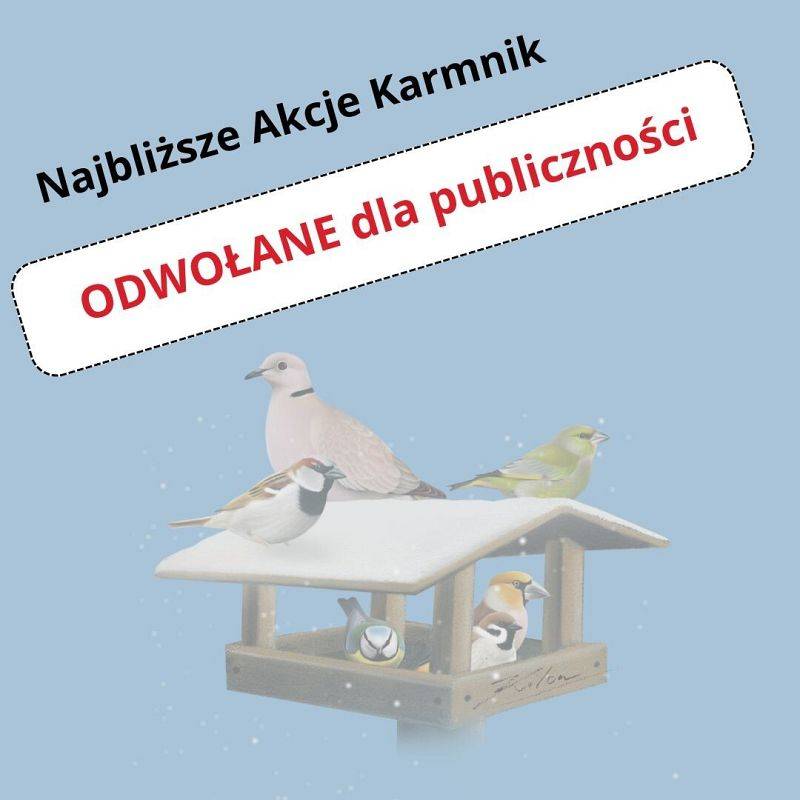Grafika prezentująca karmnik pełen ptaków i opatrzona komentarzem o odwołanych najbliższych Akcjach