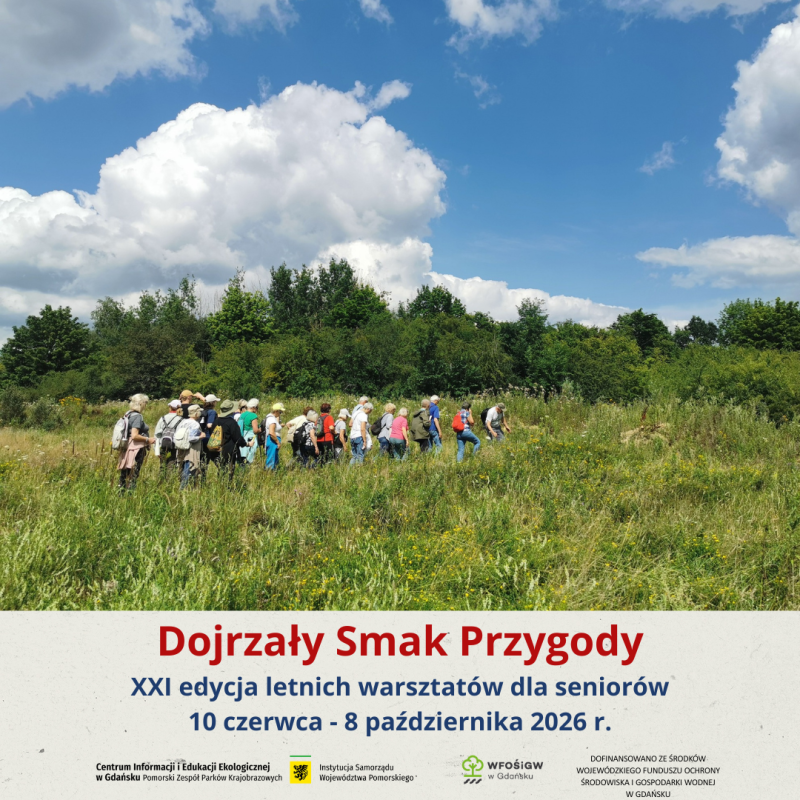 Zapraszamy do wspólnych wędrówek! Grupa seniorów na zielonej łące, pod spodem napis z nazwą cyklu warszttaów i logotypami
