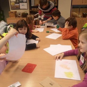 Grafika Drzewa i krzewy bliżej nas