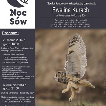 Grafika Noc sów, czyli tajemnice nocnego życia w mieście - prelekcja oraz wyjście terenowe