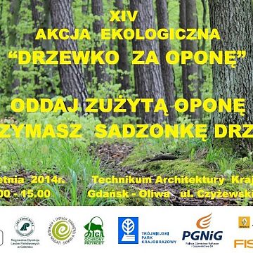 Grafika Drzewko za oponę