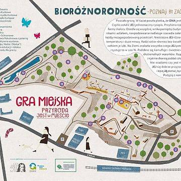 Grafika Góra Gradowa