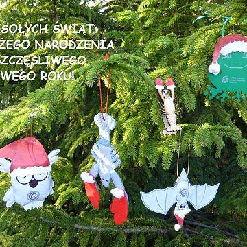 Grafika Boże Narodzenie 2015