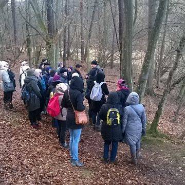 Grafika Przyrodnicza zima w Dolinie Samborowo”