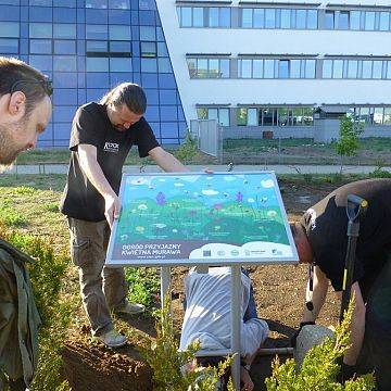 Grafika Warsztaty ogrodnictwa miejskiego