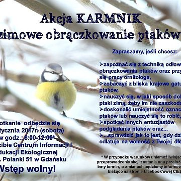 Akcja Karmnik Grafika Akcja Karmnik
