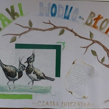 Grafika Wyniki XIII edycji konkursu Znani i nieznani - ptasi sąsiedzi