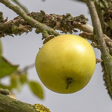 Grafika „Czynna ochrona przyrody nad dolną Wisłą”. Spotkanie czwartkowe.