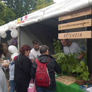 Viva Oliwa Grafika Viva Oliwa