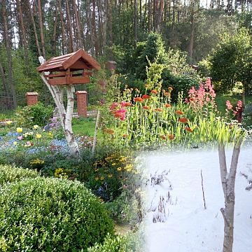 Grafika KONKURS - "Ogród - ostoja przyrody rodzimej"