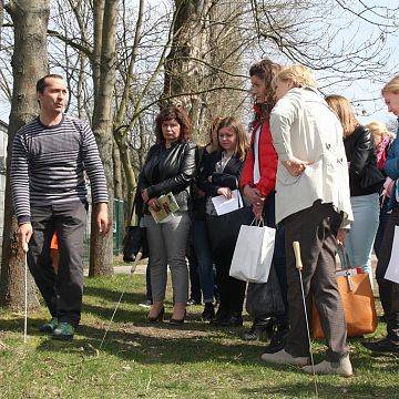 Grafika ,,W trosce o drzewa"