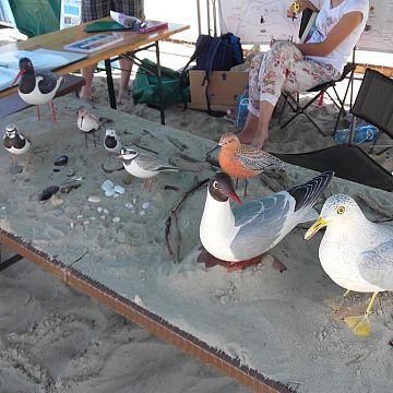 Grafika Park Krajobrazowy „Mierzeja Wiślana” Mistrzem Świata!
