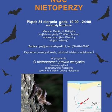 Grafika Zaproszenie na warsztaty "Nadmorska Noc Nietoperzowa"