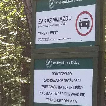 Grafika Pracowite lato w Parku Krajobrazowym „Mierzeja Wiślana”