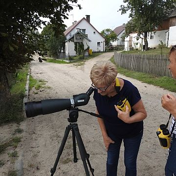 Grafika Ziołowe szlaki i ptasie wyspy - warsztaty w Schodnie