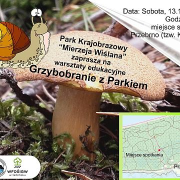 Grafika Zapraszamy na „Grzybobranie z Parkiem”!