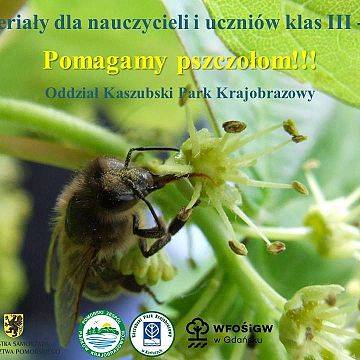 Grafika Materiały dla nauczycieli i uczniów klas III – VII „Pomagamy pszczołom!!!”