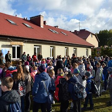 Grafika Grzybobranie w Ośrodku Eduakcji Ekologicznej
