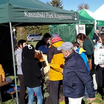 Grafika XIII Kartuski Targ Produktów Ekologicznych