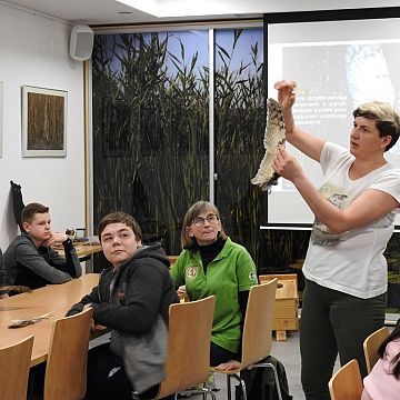 Grafika Sowa w lesie pohukuje, pewnie drugiej połowy poszukuje