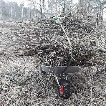 Grafika Czynna ochrona w rezerwacie przyrody ,,Gogolewko”