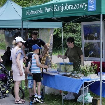 Grafika Kilka słów o tym jak było na pikniku