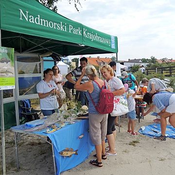 Grafika „Mam chrapkę na babkę” – Nadmorski Park Krajobrazowy na Dniu Ryby