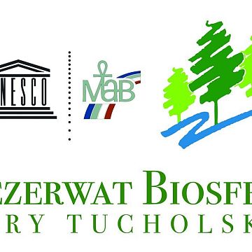 Grafika Konkurs "Rezerwat Biosfery Bory Tucholskie – największy z jedenastu"